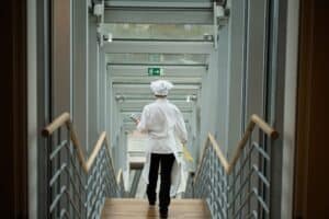 Man with a hospitality job: chef assitant