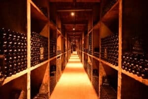wine cellar shelves