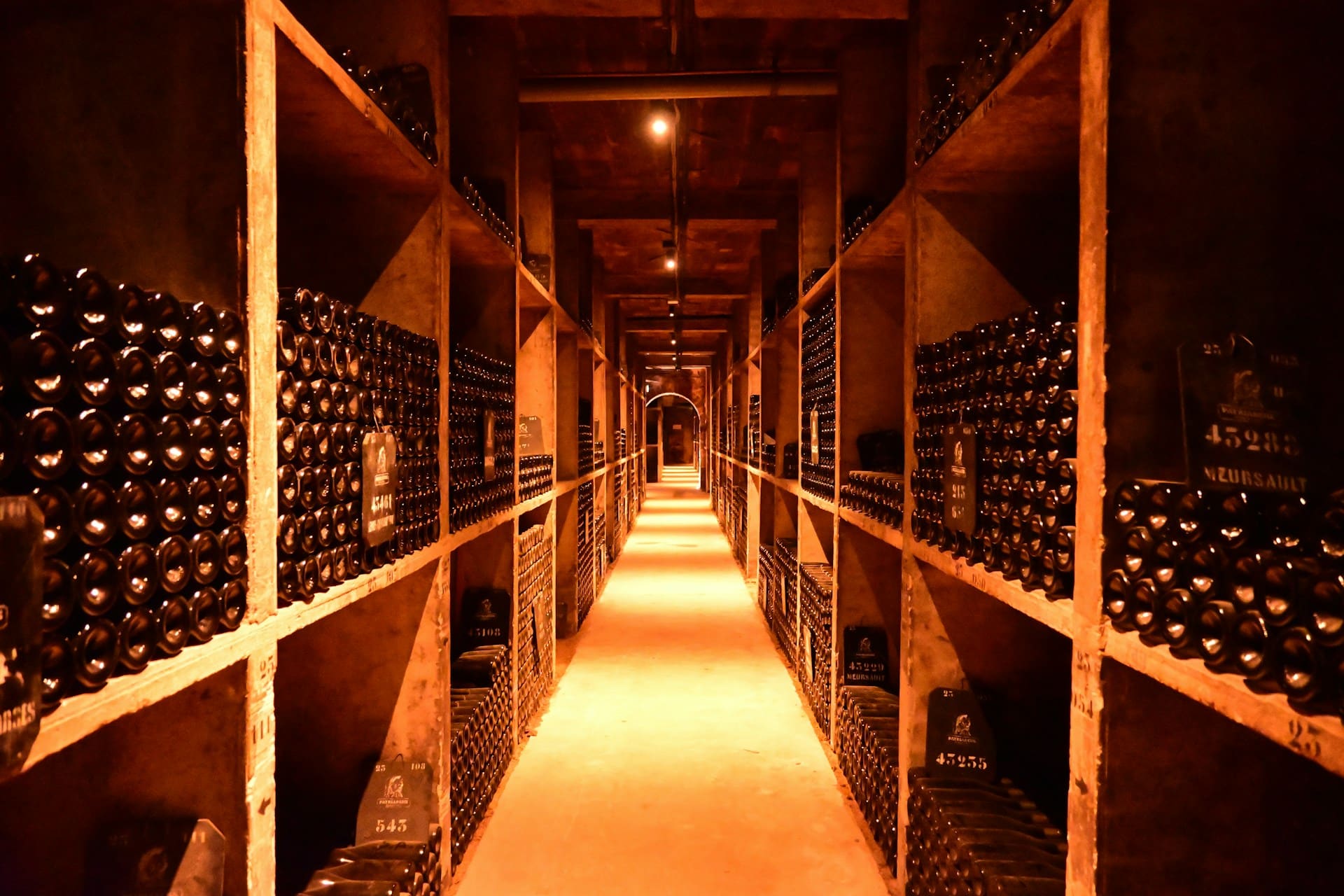 wine cellar shelves